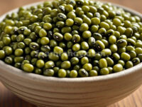 Kacang Hijau