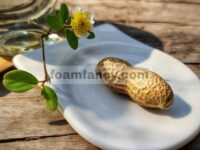 Kacang tanah